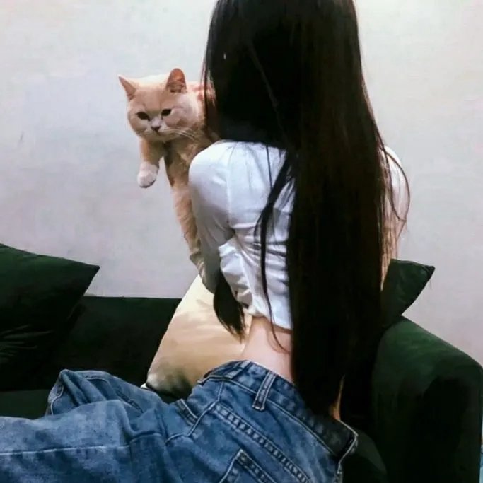 雅皮杜